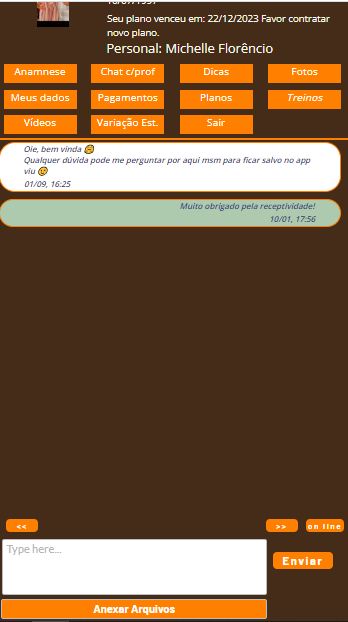 Area Aluno - Chat com profpng.png